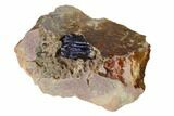 Large Azurite Crystal on Druzy Quartz - Morocco #137027-2